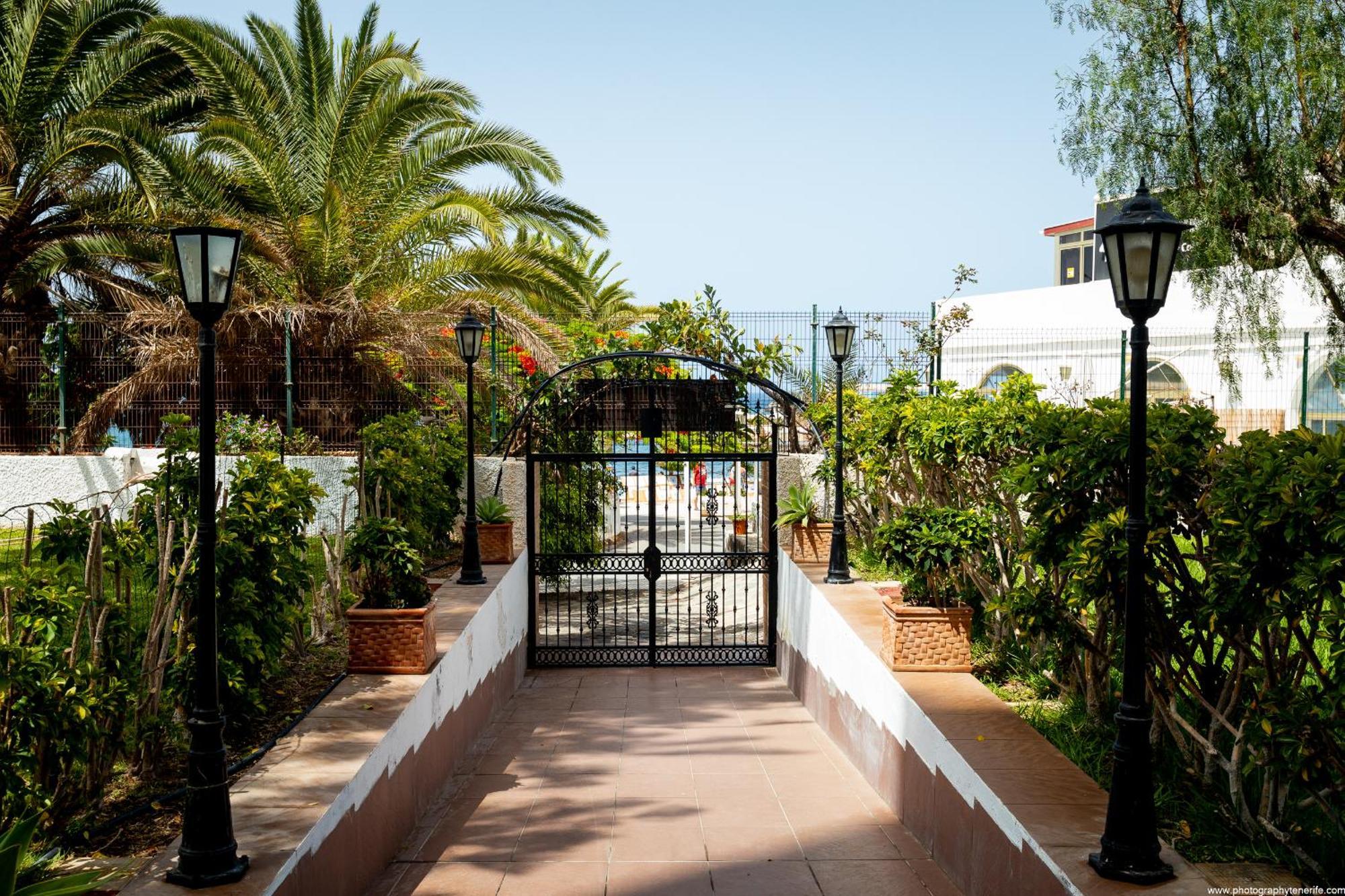 603 Comodoro Studio Beach Front Los Cristianos  Exteriör bild